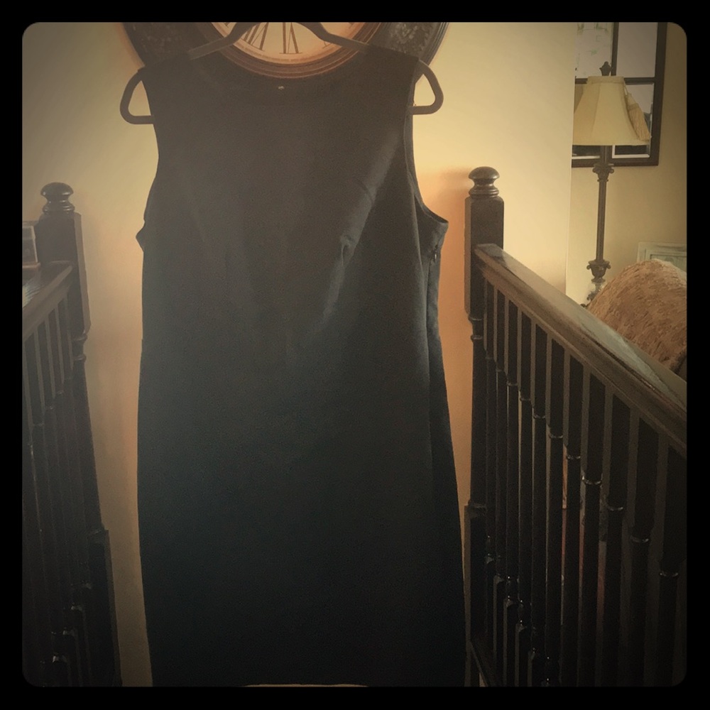 Black lined Classic Black Dress